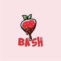 chocolate bash logo image