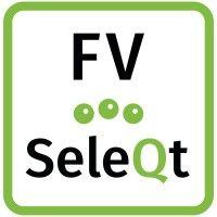 fv seleqt b.v. logo image