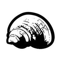 coding for hermit crabs logo image