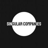 singular companies