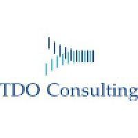 tdo consulting