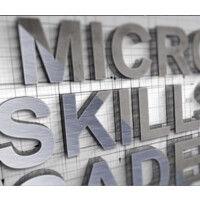 micro skills academy