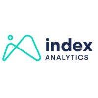 index analytics llc logo image