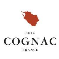 bnic - cognac logo image