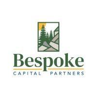 bespoke capital partners logo image