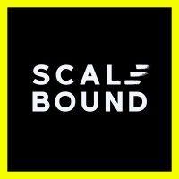 scalebound logo image