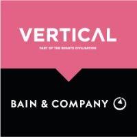 vertical strategy logo image