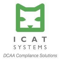 icat systems logo image