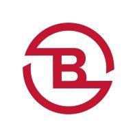 buhlmann group logo image