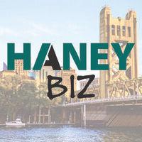 haneybiz logo image