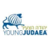 hadassah / young judaea israel logo image