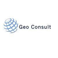 geo consult