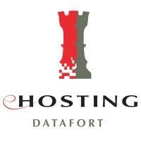 ehosting datafort logo image