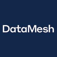 datamesh group logo image