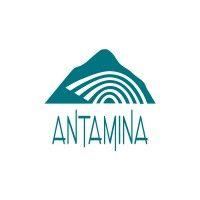 antamina logo image