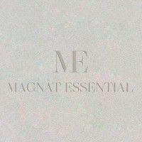 magnat essential logo image