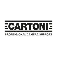 cartoni logo image