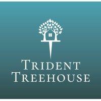 trident treehouse business consultancy logo image