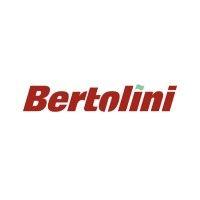 grupo bertolini logo image