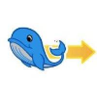 blue whale systems ltd logo image