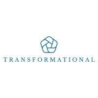 transformational investment holdings