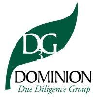 dominion due diligence group (d3g) logo image