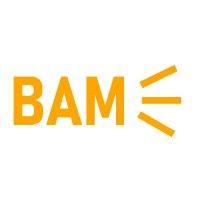 bamsfx logo image