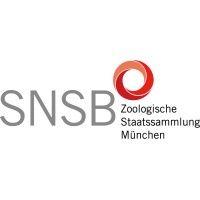 zoologische staatssammlung münchen logo image