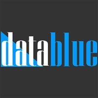 data blue, llc logo image