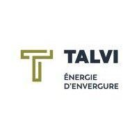 talvi inc. logo image