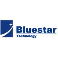 bluestar mould group logo image