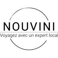 nouvini logo image