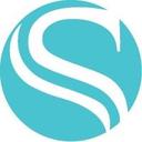 logo of Synswap