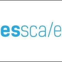 esscale digital logo image