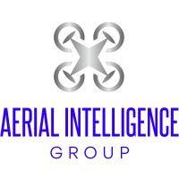 aerial intelligence group logo image