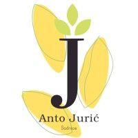 anto jurić sadnice logo image