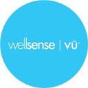 logo of Wellsense Inc