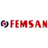 femsan electric motors