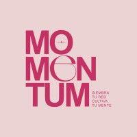 experiencia momentum logo image