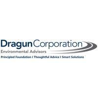 dragun corporation logo image