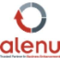 alenu it business solutions pte ltd logo image