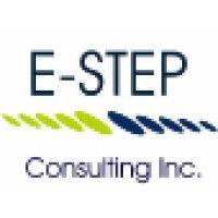 e-step consulting, inc./ leverage applications logo image