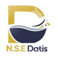 n.s.e datis logo image