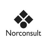 norconsult sverige logo image