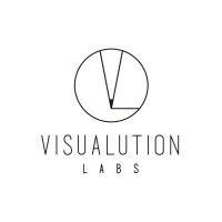 visualution labs ltd logo image