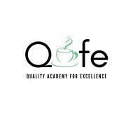 quality academy for excellence logo image