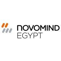 novomind egypt llc logo image