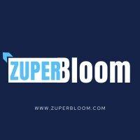 zuperbloom business consulting services