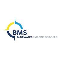 bluewater marine services logo image