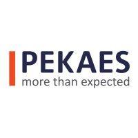 pekaes group logo image